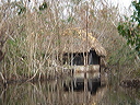 dsc00608